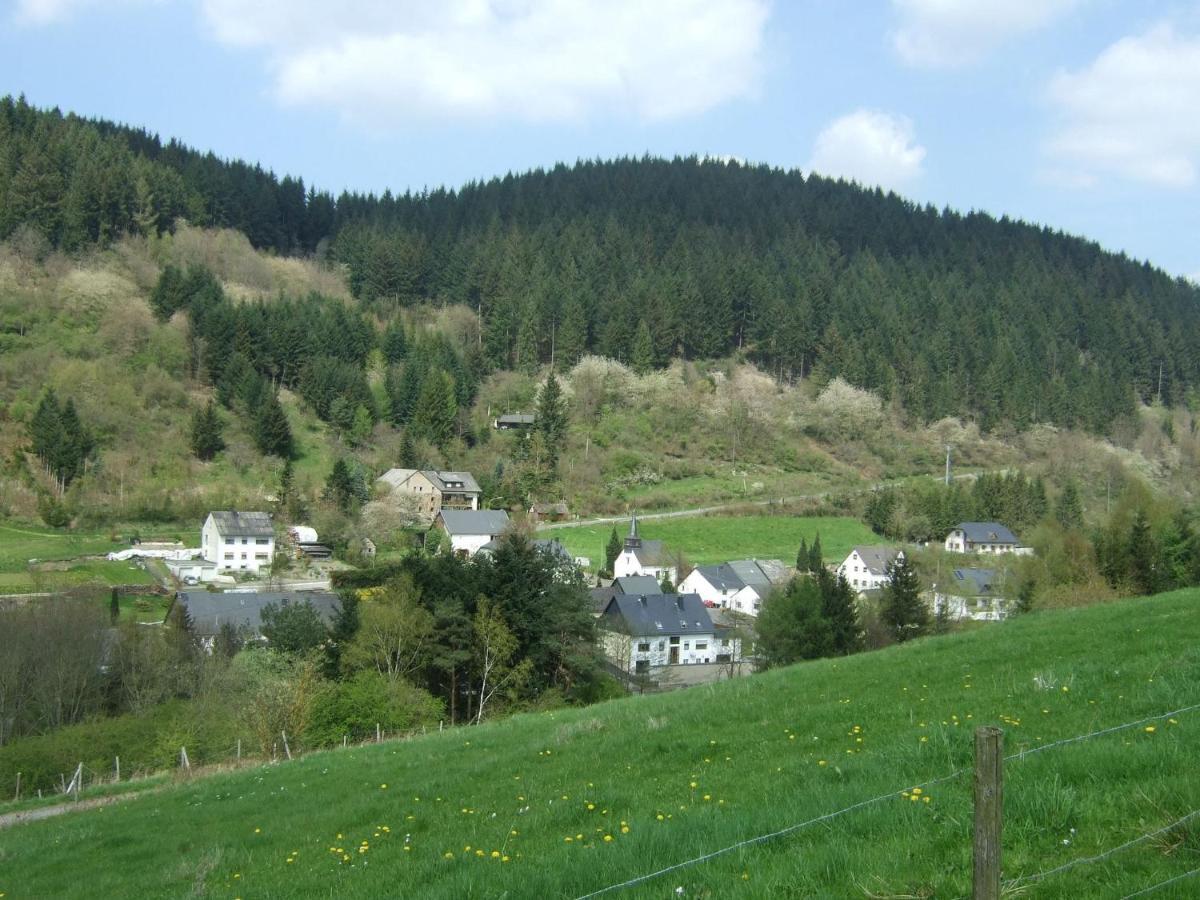 Lavish Apartment In Merschbach Near The Forest Kültér fotó